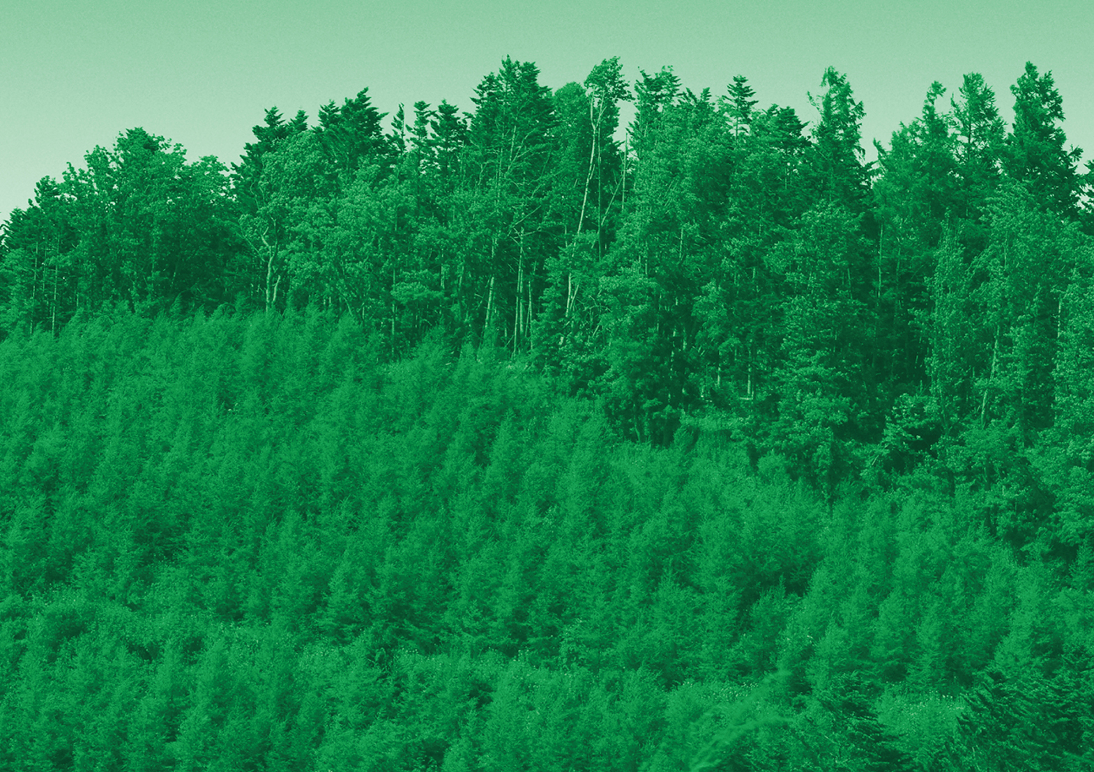 Good Neighbor Wood